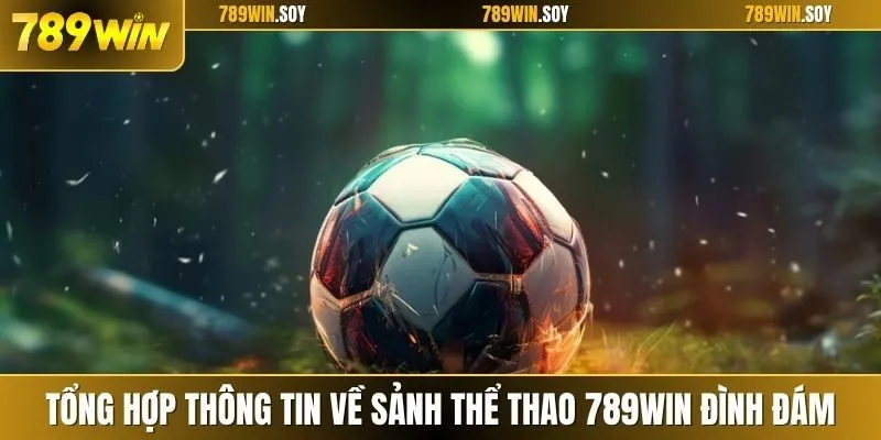 Tổng hợp thông tin về sảnh thể thao 789WIN đình đám
